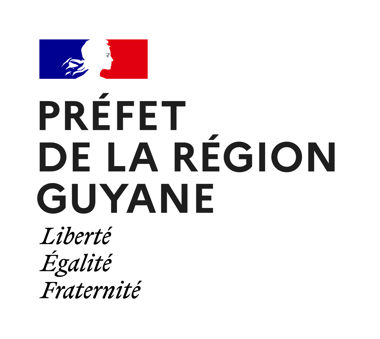 Préfet De La Région Guyane